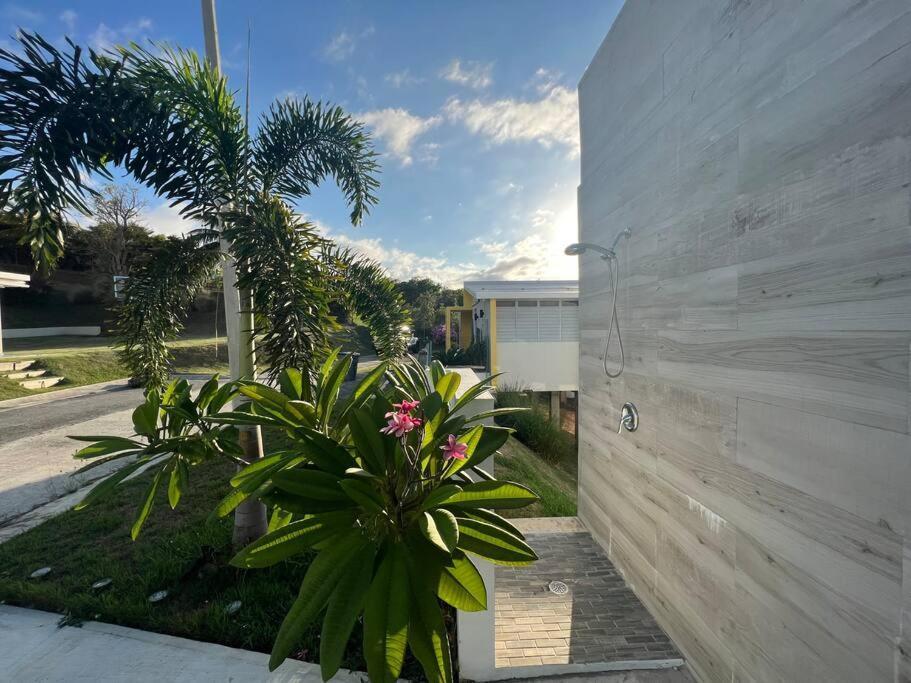 Ocean Harmony Spacious Apt W/ Ocean View @ Rincon Exterior photo